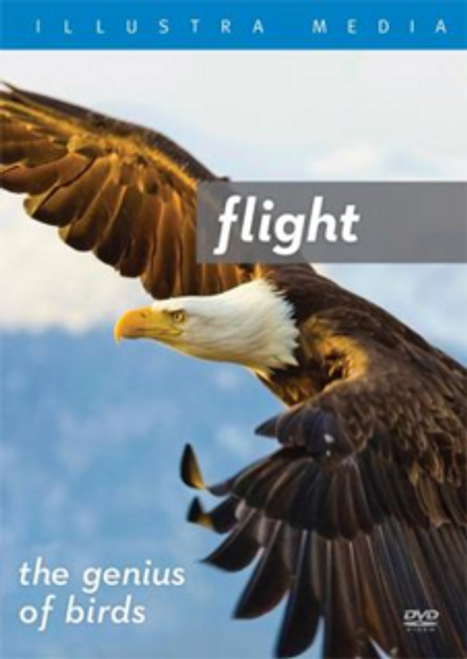 Flight: The Genius of Birds - DVD