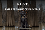 Guide to waterfowl ammo 