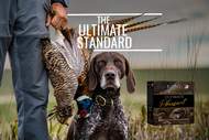 Ultimate Pheasant