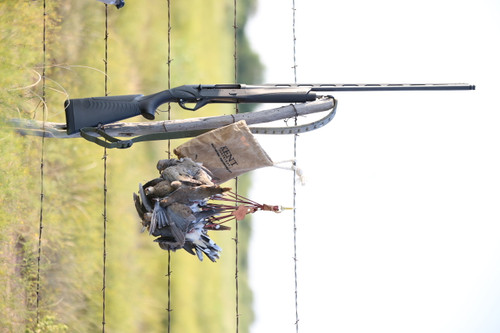 Southern Reserve Dove hunting