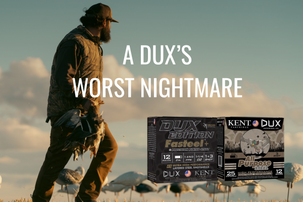 DUX FASTEEL+
