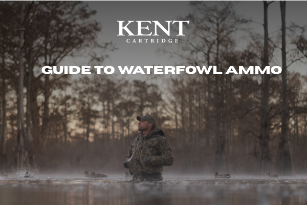 Guide to waterfowl ammo 
