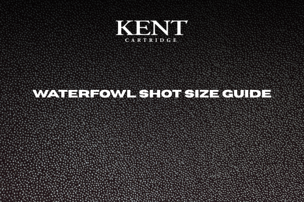 Waterfowl Shot Size Guide