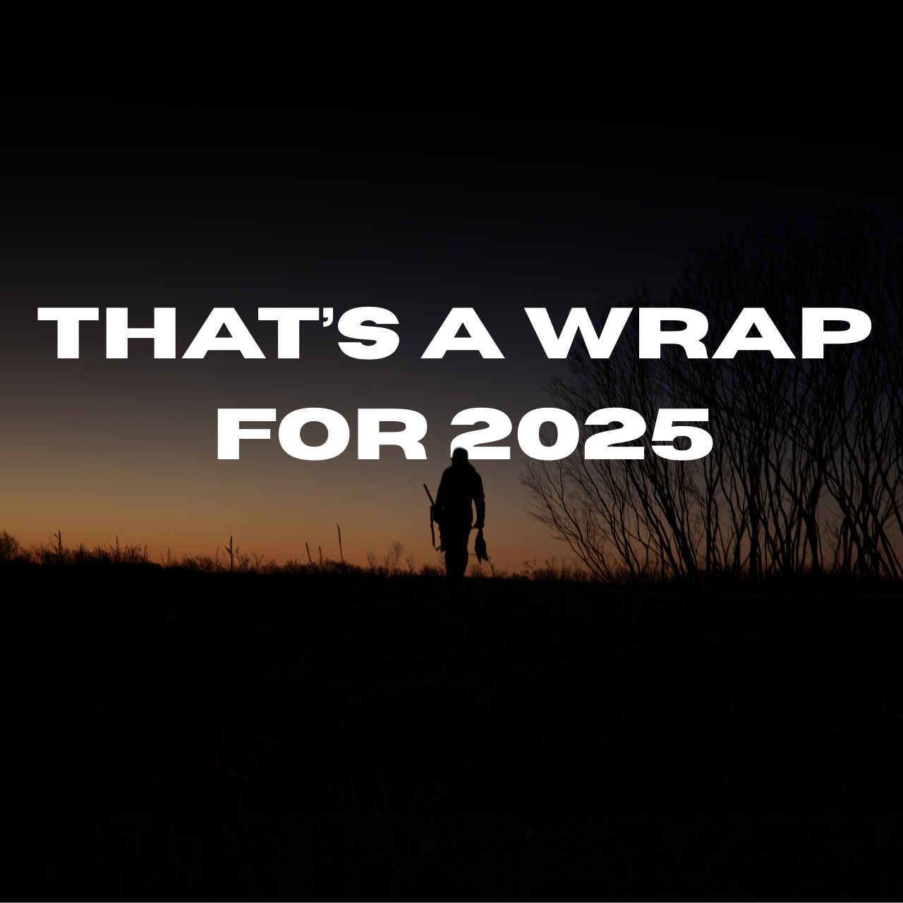 That's a wrap for 2025