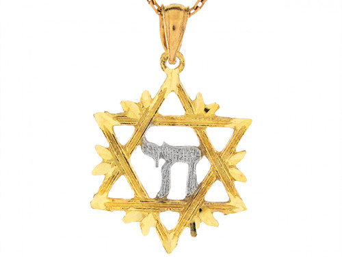 Two Tone Gold 2.5cm Star of David Hebrew Letter Jewish Charm Pendant (JL# P6493)