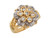 Two Tone Gold Exquisite Sparkling Flower Ladies Ring (JL# R8512)