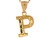 1.29cm Diamond Cut Letter Cute Charm Initial Pendant (JL# P5239)