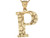 real yellow gold letter P diamond cut nugget design charm Pendant (JL# P4609)