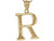 real yellow gold letter R diamond cut unique design charm Pendant (JL# P4588)