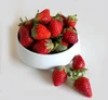 Life Is Just a Bowl of Strawberries Sampler, perfume samples