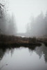 Impenetrable Fog Sampler, perfume samples