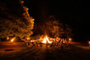 Life is Better Around a Bonfire Sampler, perfume samples