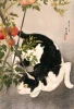 Alkemia Kitten and the Falling Leaves sample & decant