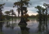 Damp Bayou/Bog Sampler, perfume samples