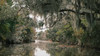 Brackish Bayou/Bog Sampler, perfume samples
