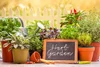 Aromatic Herb Garden Sampler, perfume samples