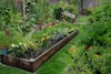 Flavorful Herb Garden Sampler, perfume samples