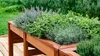 Fresh Herb Garden Sampler, perfume samples
