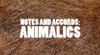 Warm Animalic Sampler, perfume samples