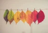 Fluttering Autumn Leaves Sampler, perfume samples