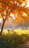 Vibrant Autumn Sampler, perfume samples