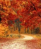 Crimson Autumn Sampler, perfume samples