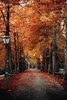 Brisk Autumn Sampler, perfume samples