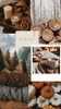 Crisp Autumn Sampler, perfume samples