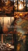 The Ultimate Autumn Sampler, perfume samples