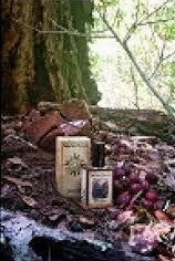 Black Forest