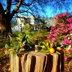 Farmhouse in Spring