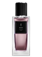 Buy Yves Saint Laurent Muse (YSL) Sample - Perfume Samples