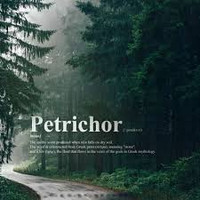 The Coming Storm: Petrichor Sampler - Set of Six 1/2ml Samples