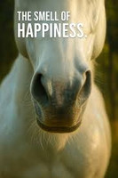 The Ultimate Horse Sampler - Set of Eight 1/2ml Samples