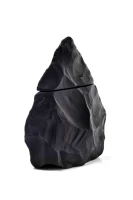 Neandertal Dark