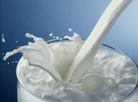 Gourmand Milk Sampler - Set of Seven 1/2ml Samples