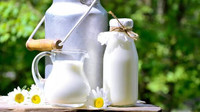 Rich Milk Sampler - Set of Six 1/2ml Samples