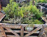 Abundant Herb Garden Sampler - Set of Six 1/2ml Samples