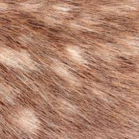 Feral Animalic Sampler - Set of Four 1/2ml Samples