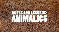 Warm Animalic Sampler - Set of Three 1/2ml Samples