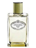 Prada Infusion de Vetiver samples and decants