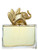 Kenzo Jungle L'Elephant perfume sample & decant