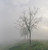 Thick Fog Sampler, perfume samples