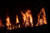 The Ultimate Bonfire Sampler, perfume samples