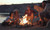Bonfire Nights and Cozy Delights Sampler, perfume samples