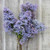 Sweet Lilac Sampler, perfume samples