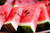 Mouthwatering Watermelon Sampler, perfume samples