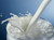 Gourmand Milk Sampler, perfume samples, milk