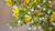 The Ultimate Creosote (The Smell of Desert Rain) Sampler, perfume samples