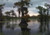 Damp Bayou/Bog Sampler, perfume samples